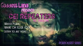 CEI Repeaters All Versions.